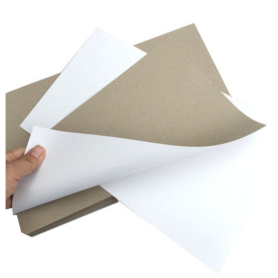 一面白色デュプレックス紙板 200Gsm 230Gsm 250Gsm 300Gsm 350Gsm 400Gsm 450Gsm