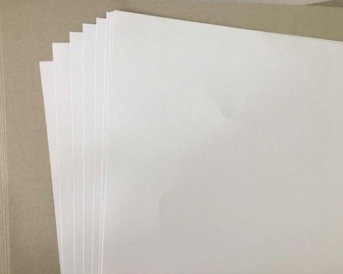 塗布されていない木材のないオフセット印刷紙 紙紙 高白 70Gsm OEM