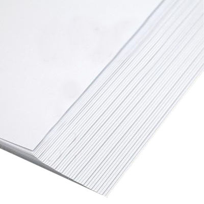 デュプレックスロール紙 250gm 300gm 400gm 450gm 白紙板