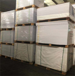 C1S SBS 紙板 250gm-400gm FBB 板 一面覆い白紙板